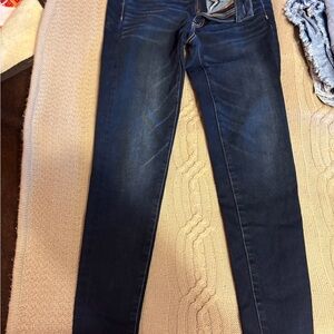 American Eagle Outfitters Navy Skinny Jeans